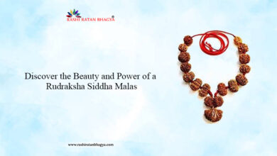 Discover the Beauty and Power of a Rudraksha Siddha Malas